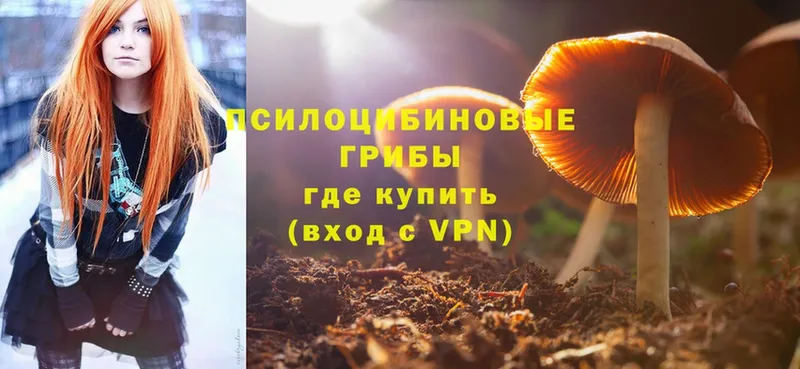 Галлюциногенные грибы MAGIC MUSHROOMS  Реутов 