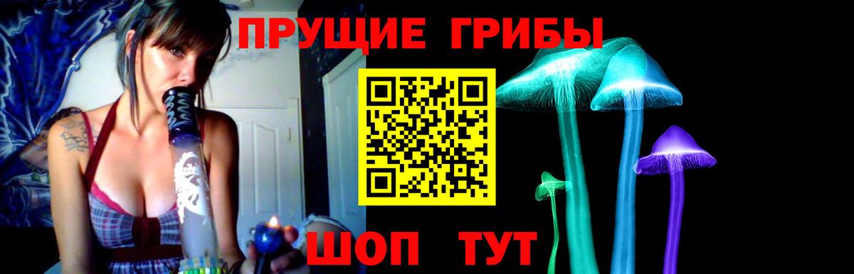 Галлюциногенные грибы MAGIC MUSHROOMS  Вход с VPN  Реутов 